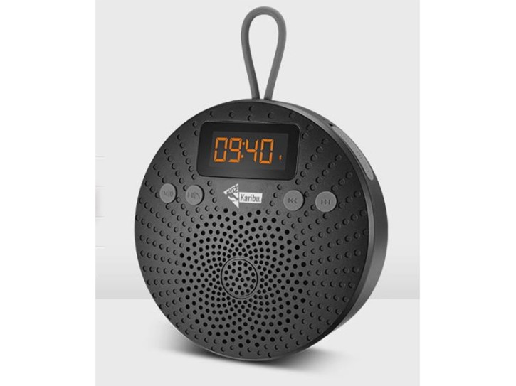 Karibu Premium Bluetooth Lautsprecher für Sauna + Infrarotkabine