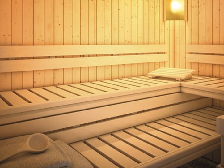 Karibu Premium Sauna Bankblende + Rückenlehne Set 1