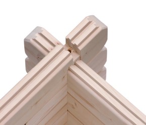 Karibu Holz-Gartenhaus Trittau 5 + 3,3m Anbaudach - 38mm Blockbohlenhaus - Pultdach - natur